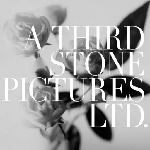 A THIRD STONE PICTURES LTD.